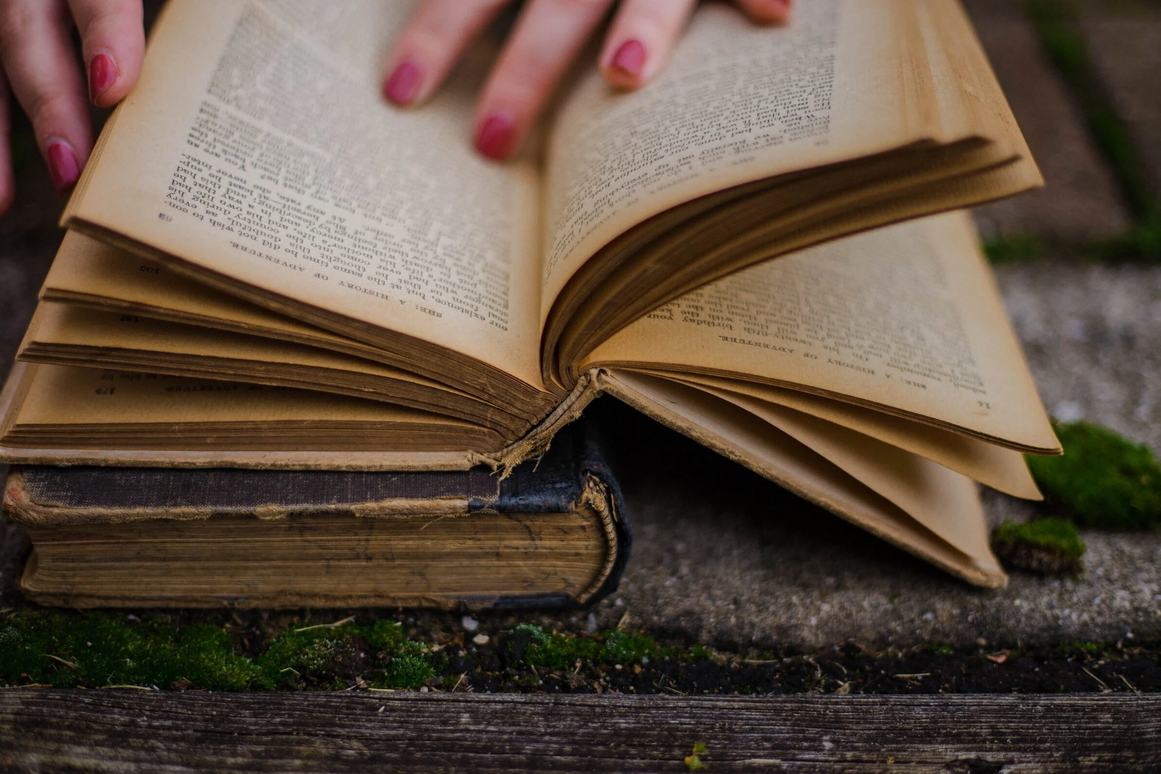 "Someone is sitting in the shade today because someone planted a tree a long time ago." - Warren Buffett. More Pictures on our IG