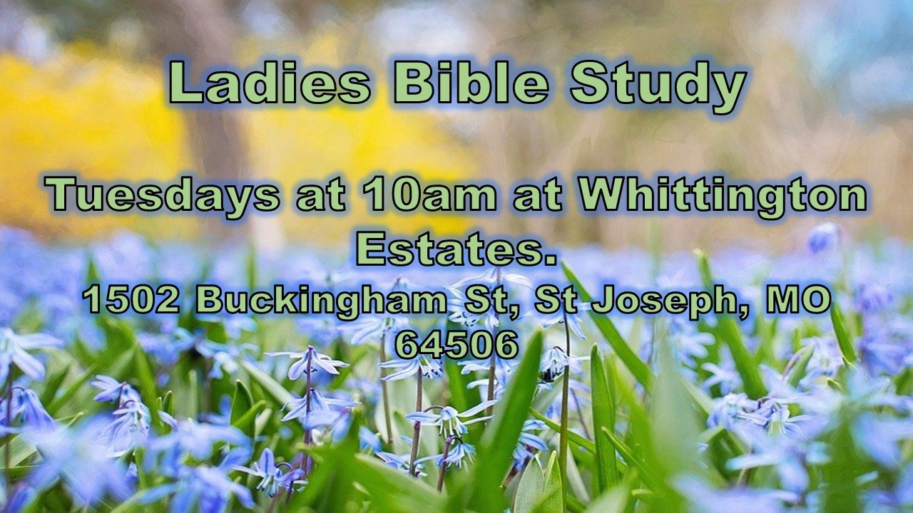 Ladies bible study Flyer 2021.jpg