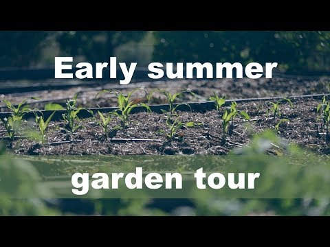 early summer vegetable garden tour. Dirtfood episode 9