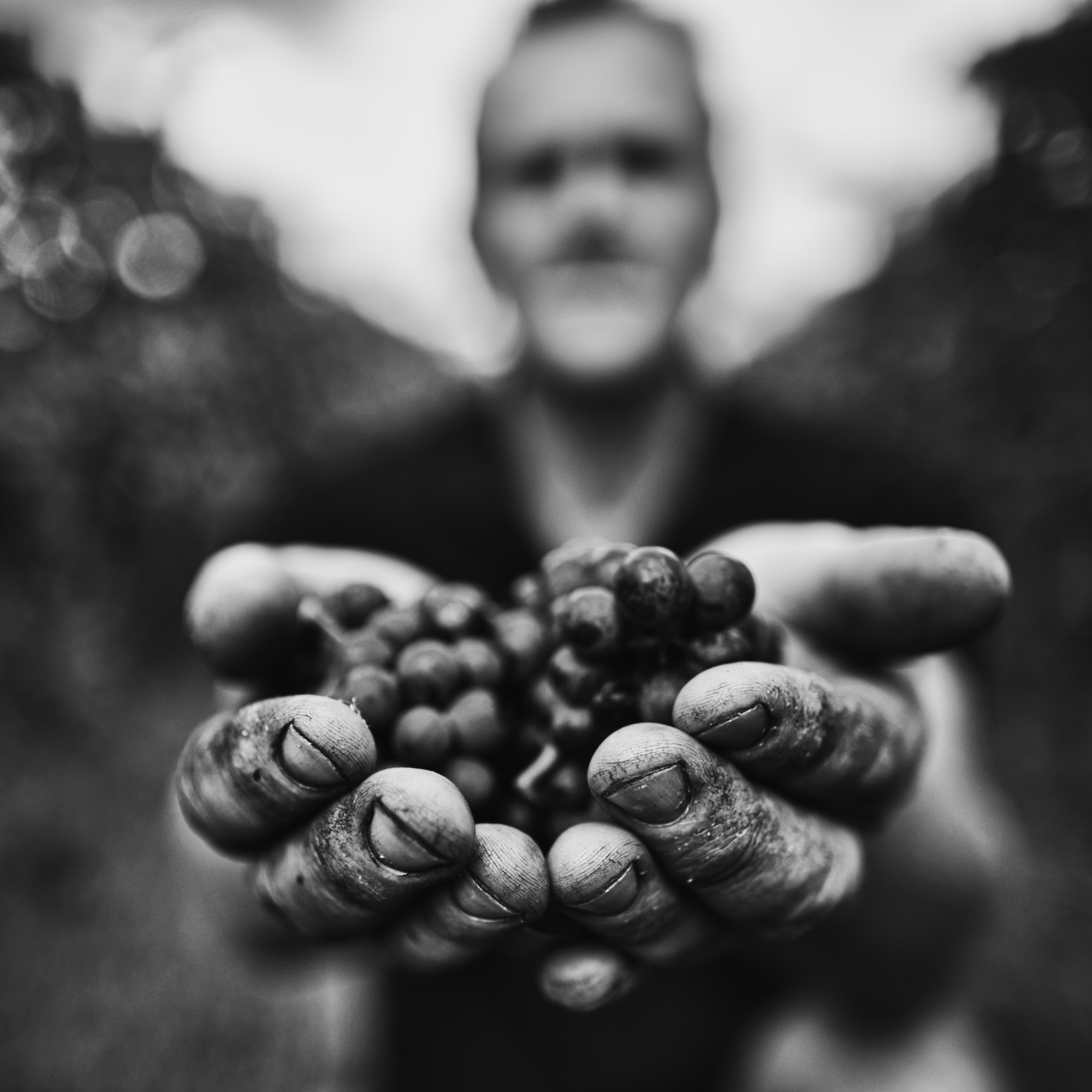winemaker