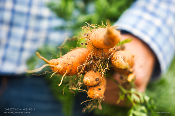 Carrots as a weapon. Are you feeling lucky, punk?