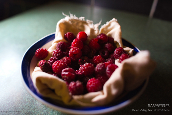 Raspberries - Kiewa Valley