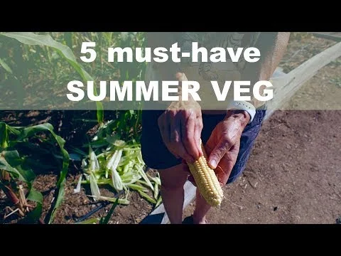 5 must-have summer veg