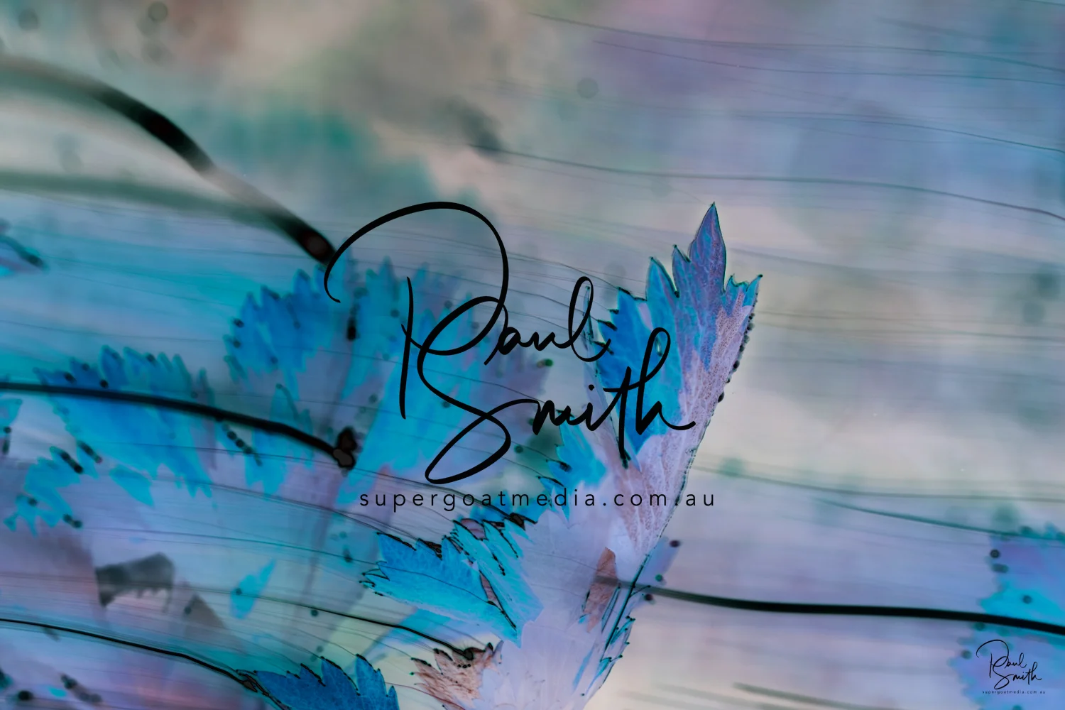 celeriac watermark small.jpeg