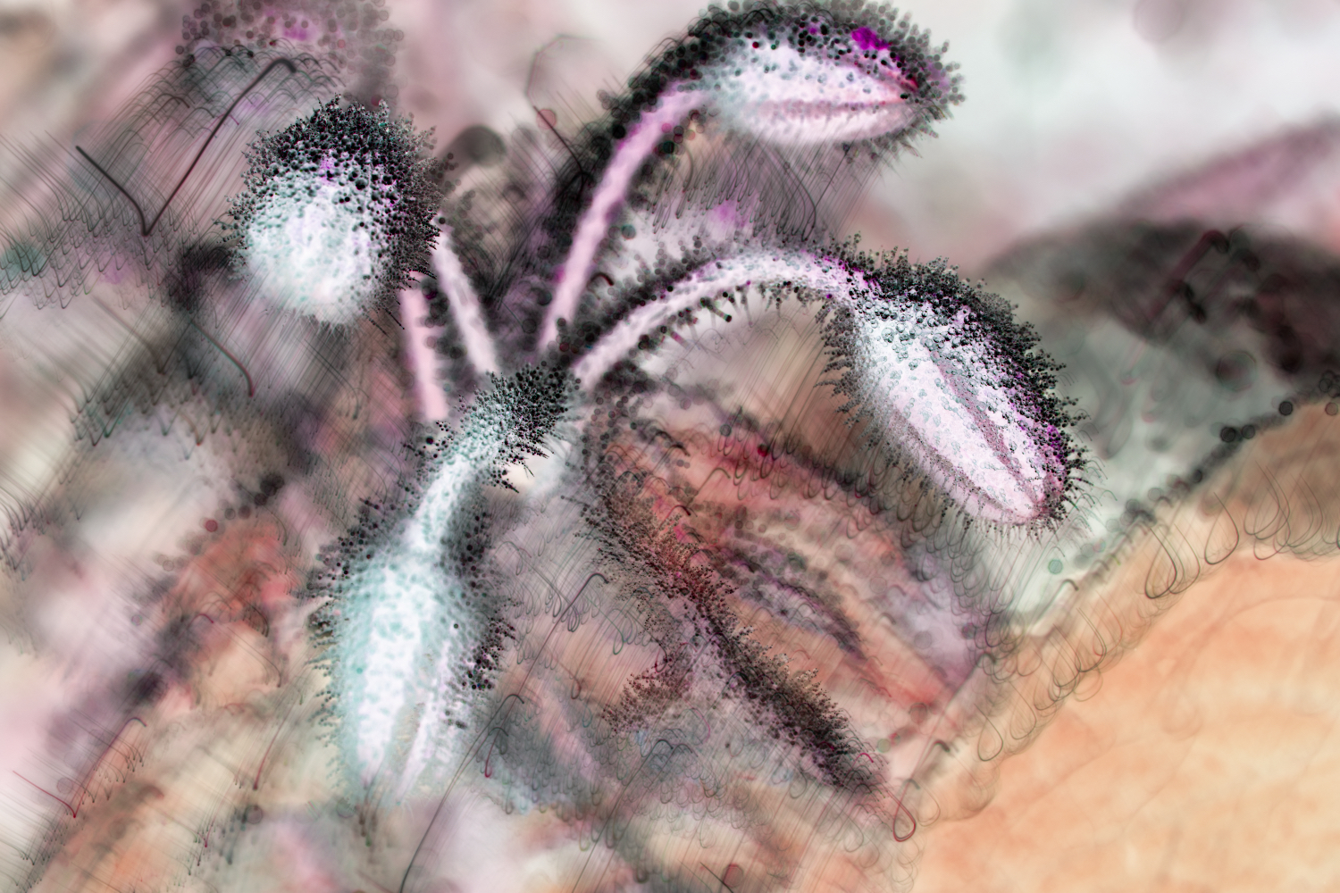 borage ice watercolour.jpeg