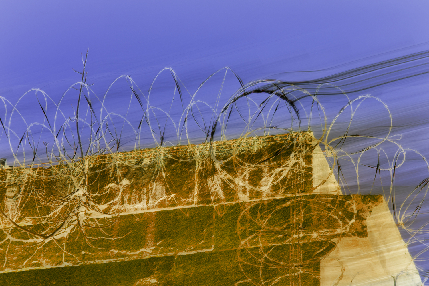 flaming razor wire.jpeg