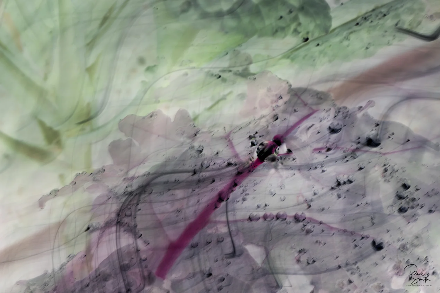 redkale signature small.jpeg