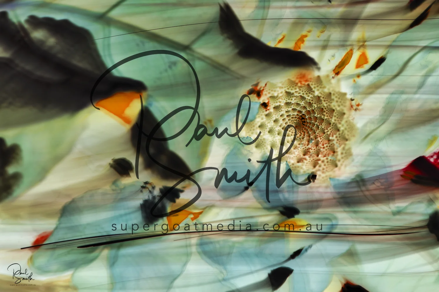 romanesco watermark small.jpeg