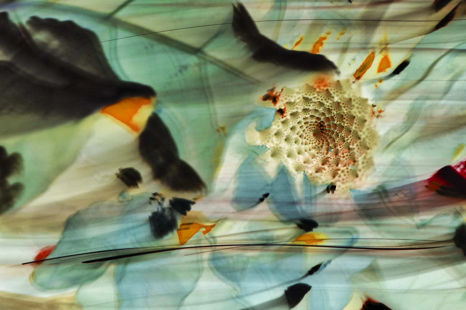 romanesco no signature small.jpeg