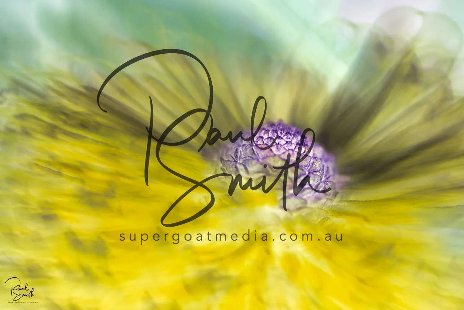 banksia watermark small.jpeg