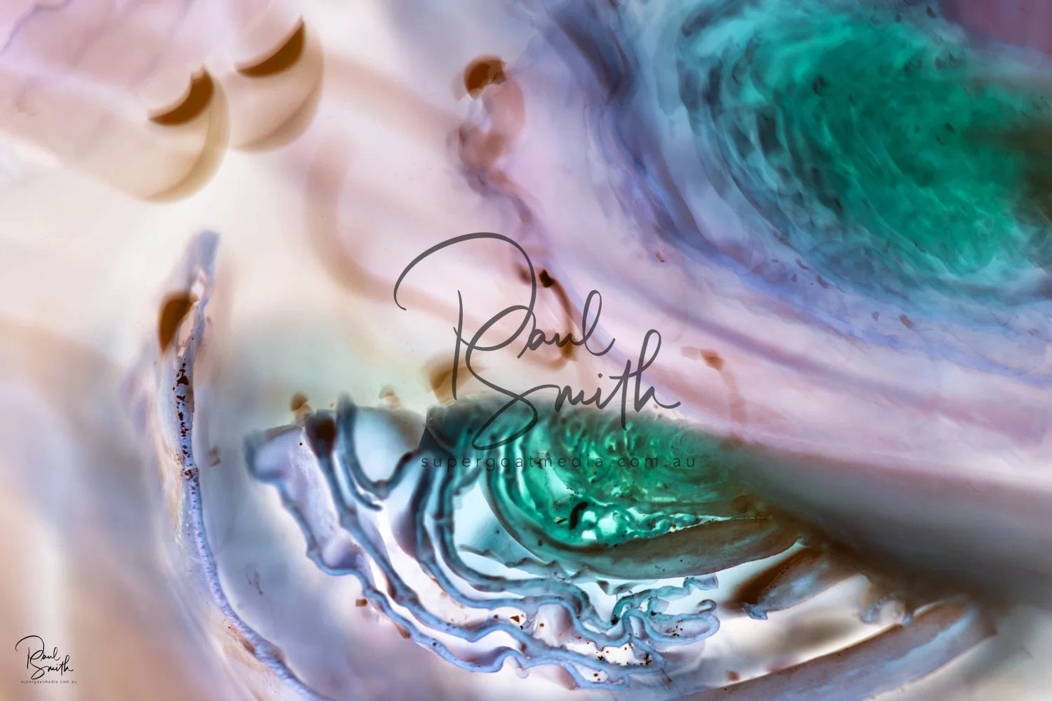 brussel watermark small.jpeg