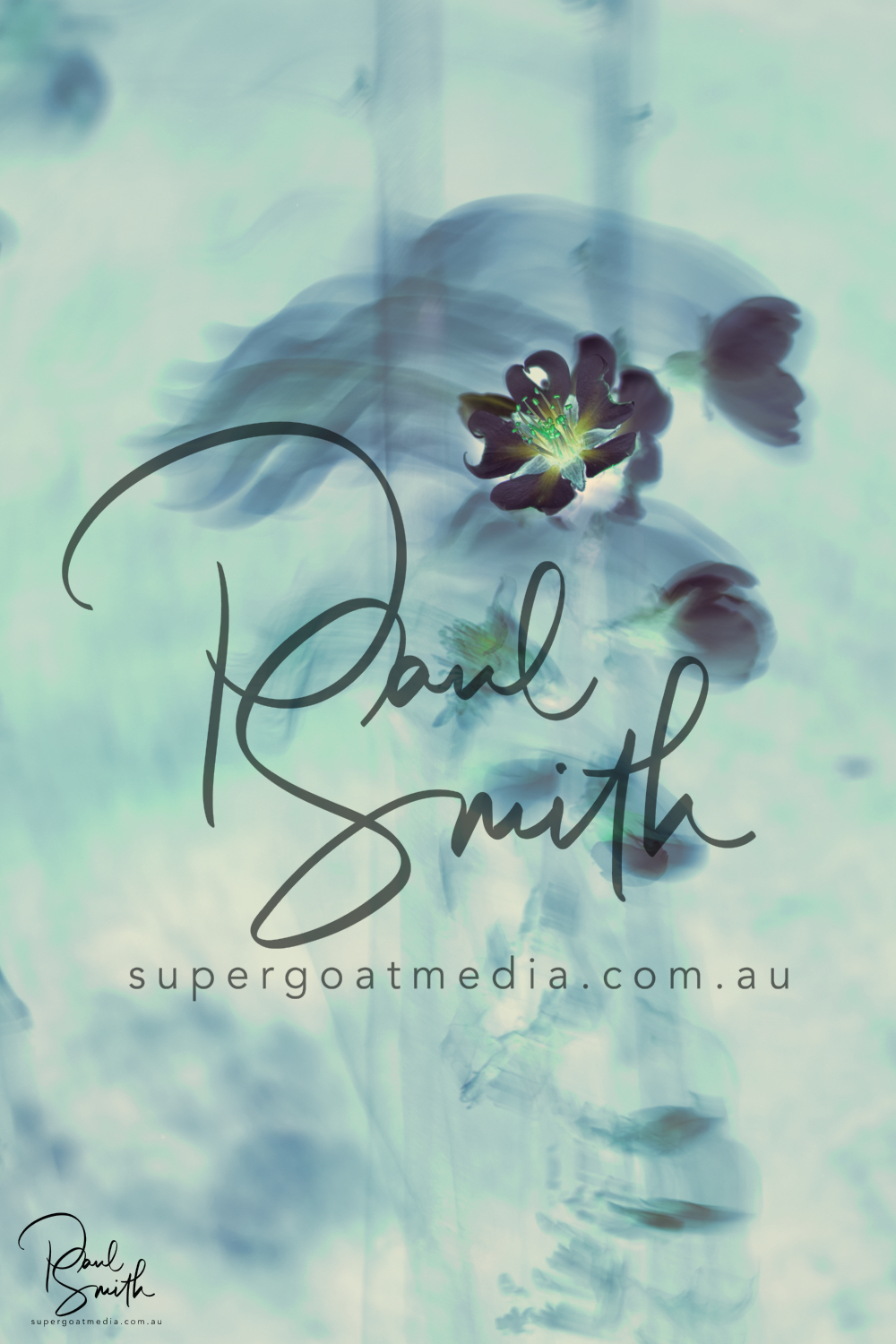 almond blossom watermark small.jpeg