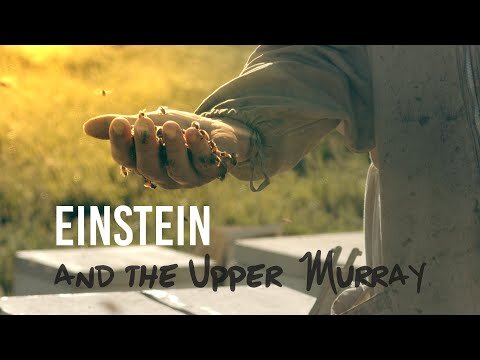 Einstein and the Upper Murray