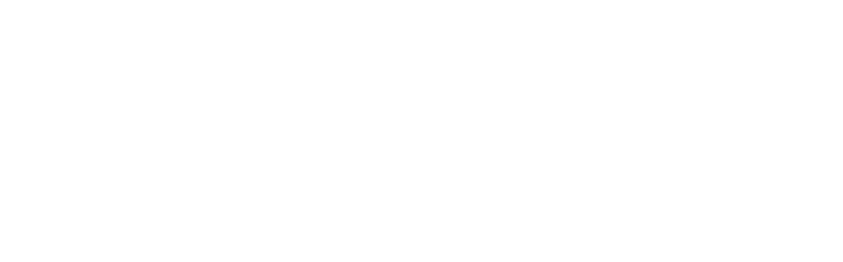 Steel City Speech