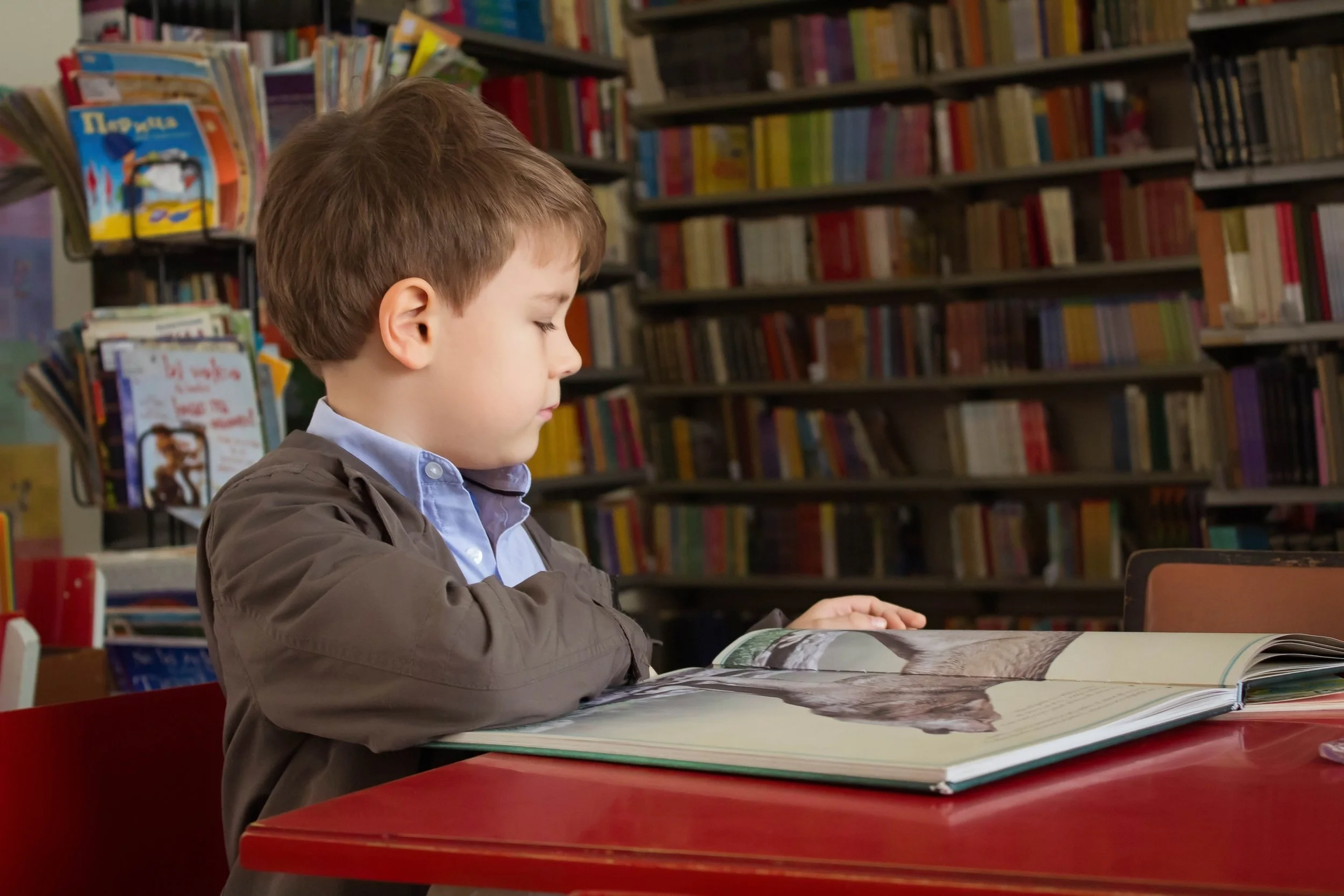 My Child is Struggling in School. Could an SLP Help?