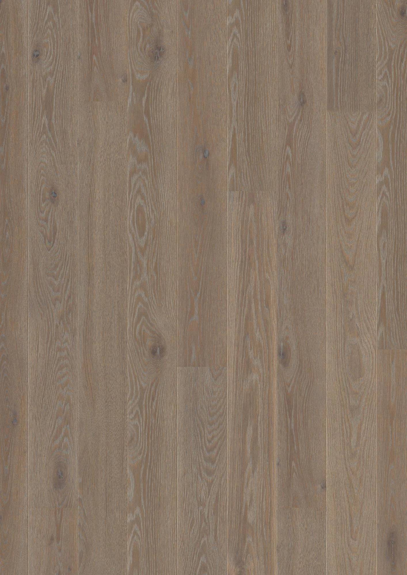 Oak India Grey