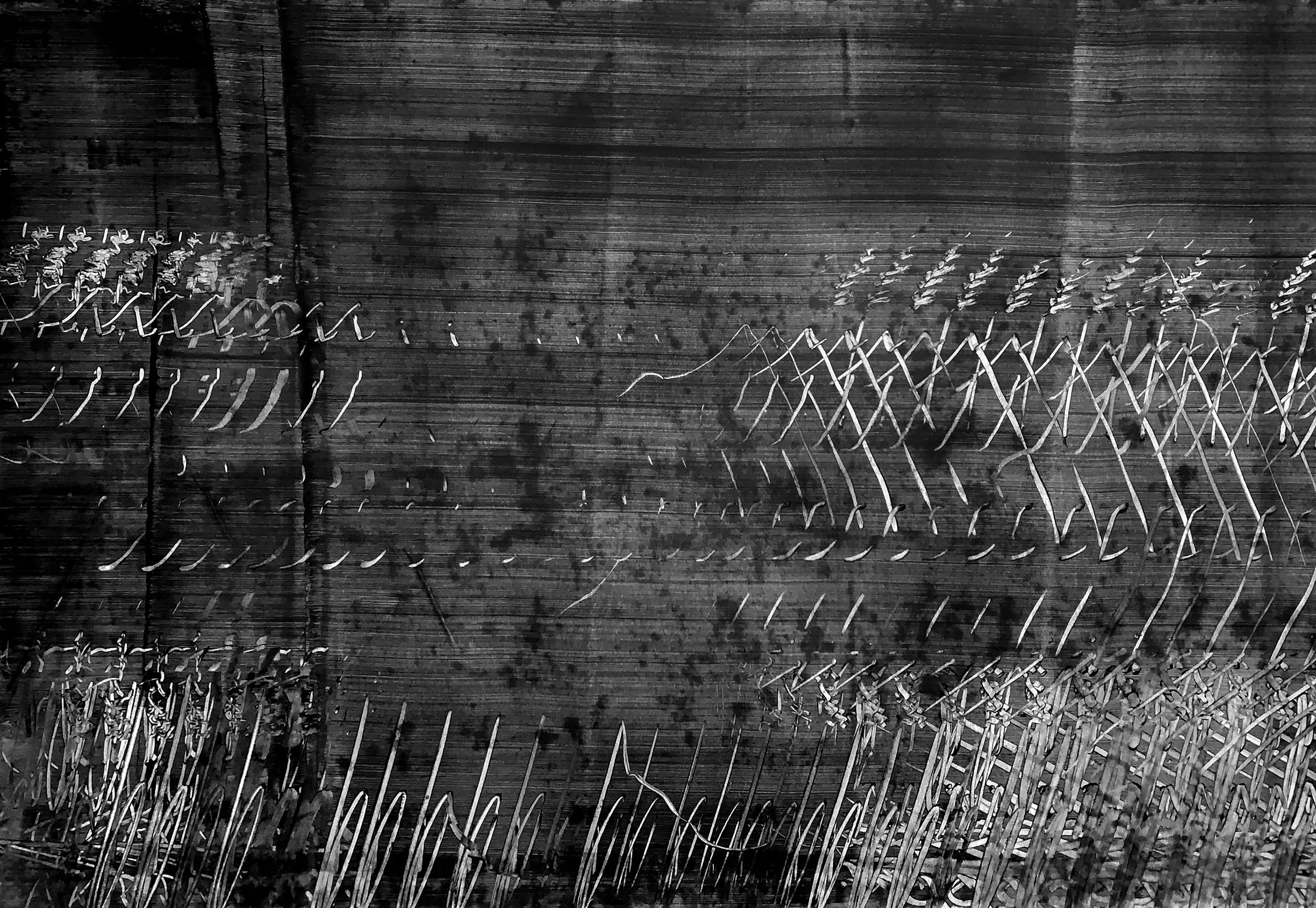 SLINKO_BITTER HARVEST_04_WEB.jpg