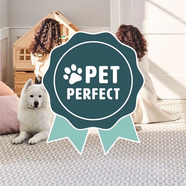 AT-PetPerfect-SocialAssets-06.jpg