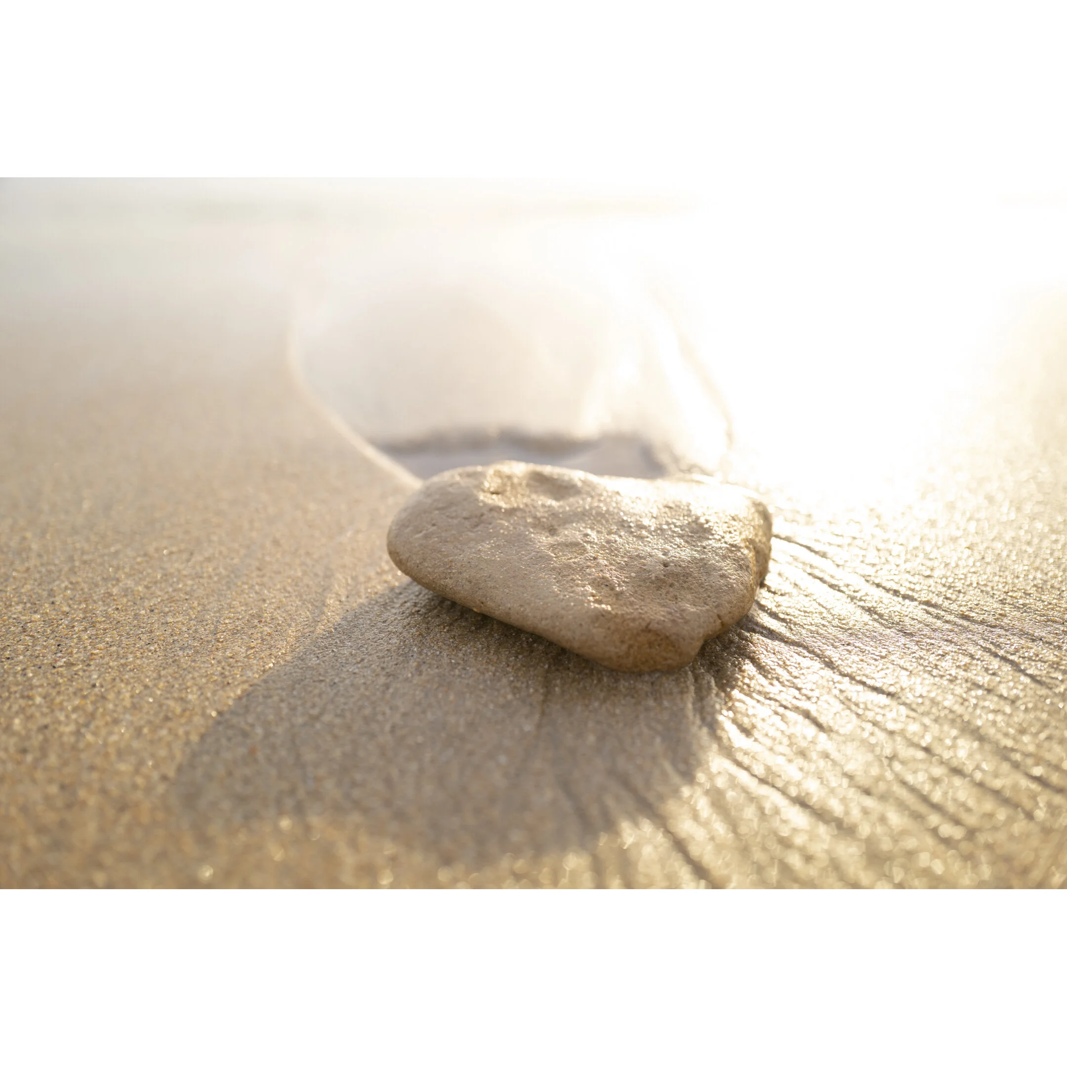 Coastal Prints_Website-06.jpg