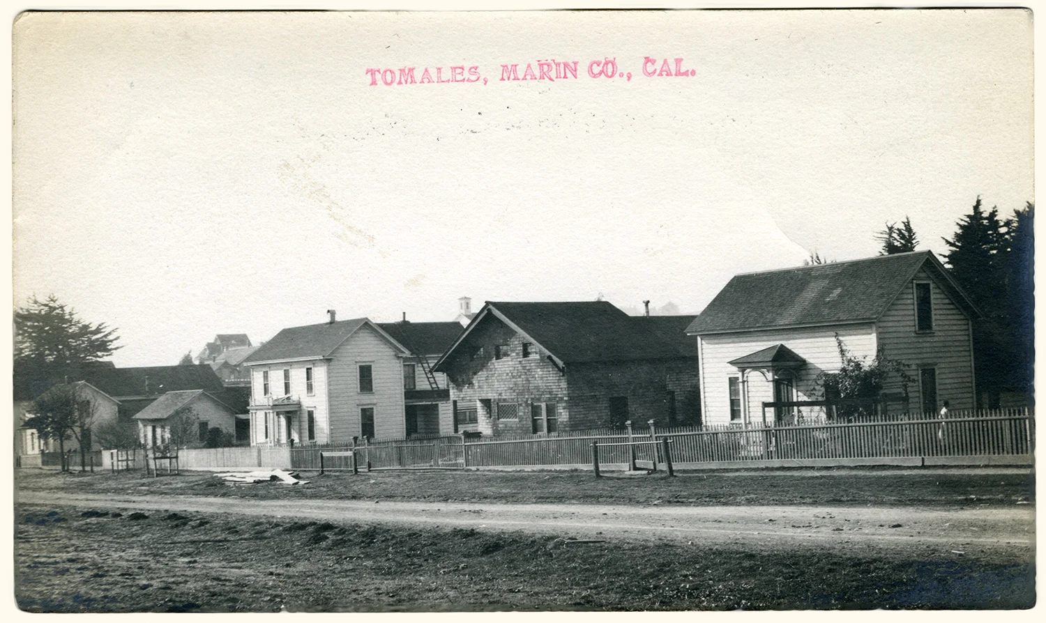 Five houses on the west side of Tomales’s Maine Street (Highway One). The side-gabled houses all date from the 1860s ‒ the early1880s; the shingled, front-gabled house is brand new, still without most of its trim work. Note the hitching rails at some front gates. Photo by Ella Jorgensen, circa 1915.