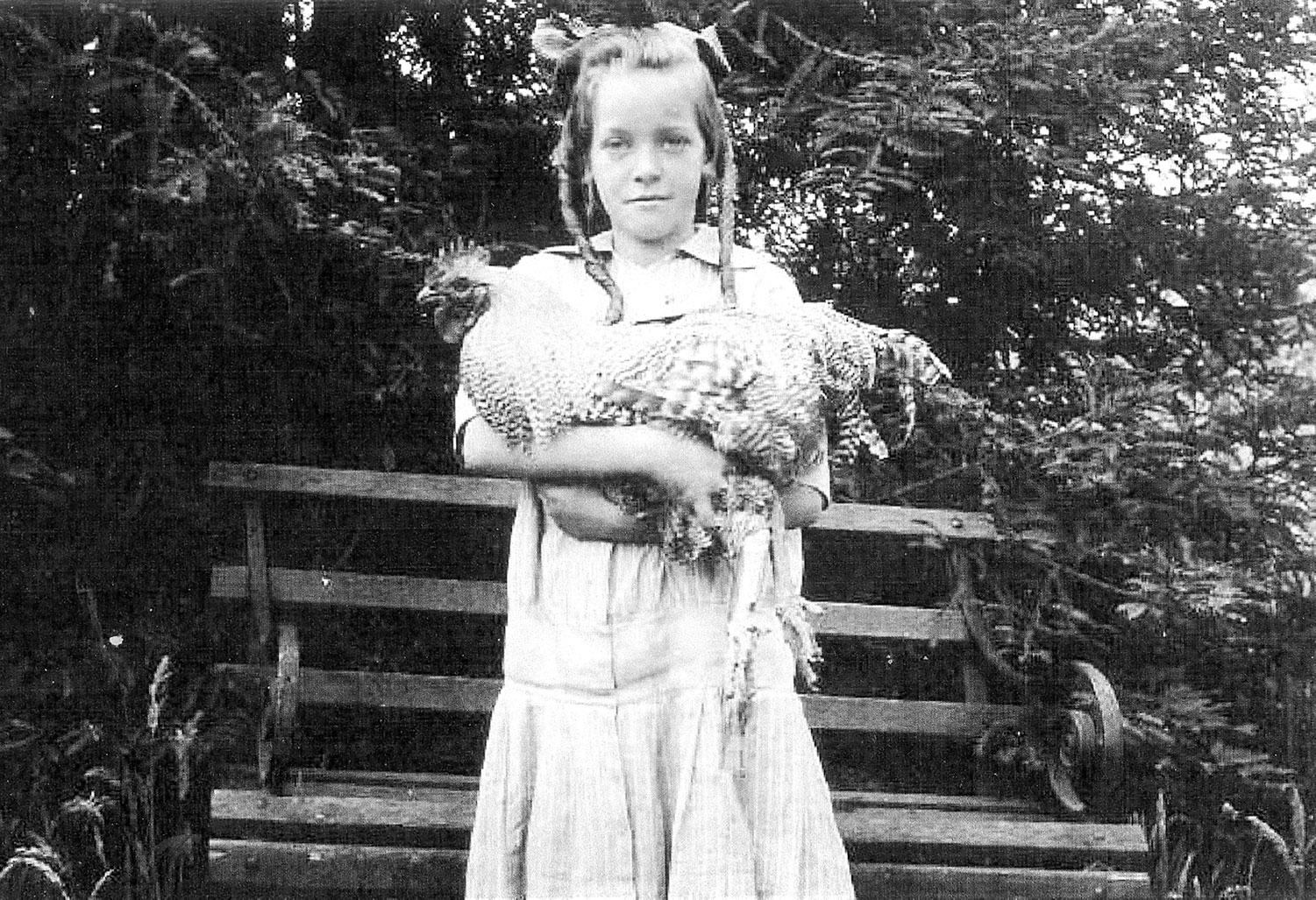 Bench Portrait: Evelyn Fairbanks with Chicken