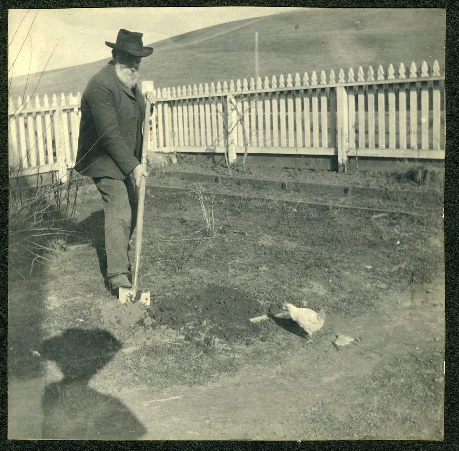 Thomas Ables Digging with Chicken