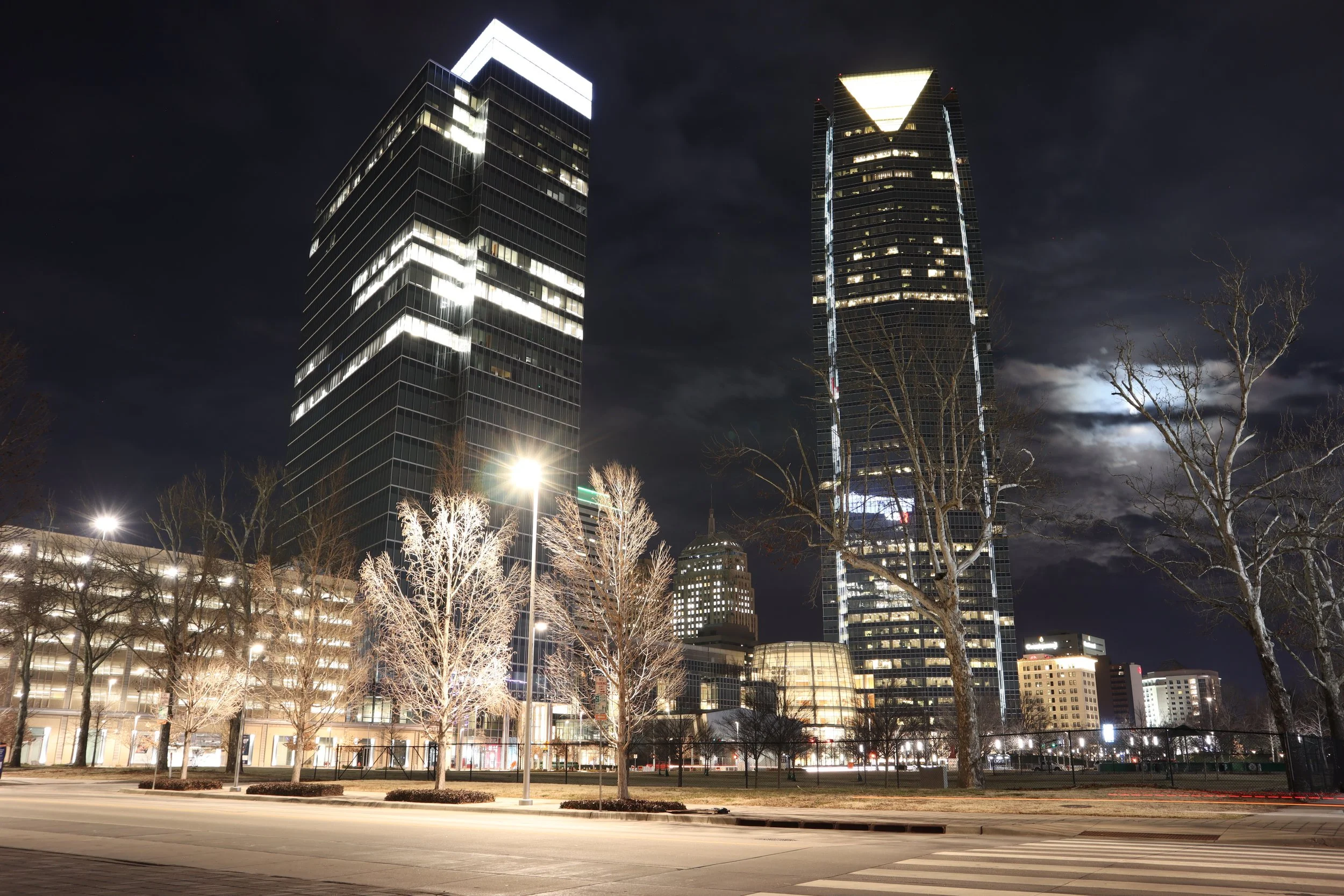 What are co-managed IT services and why are they important?