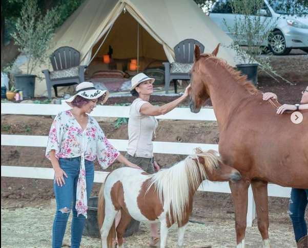 Equinox Animal Meet &amp; Greet (Event Add On)