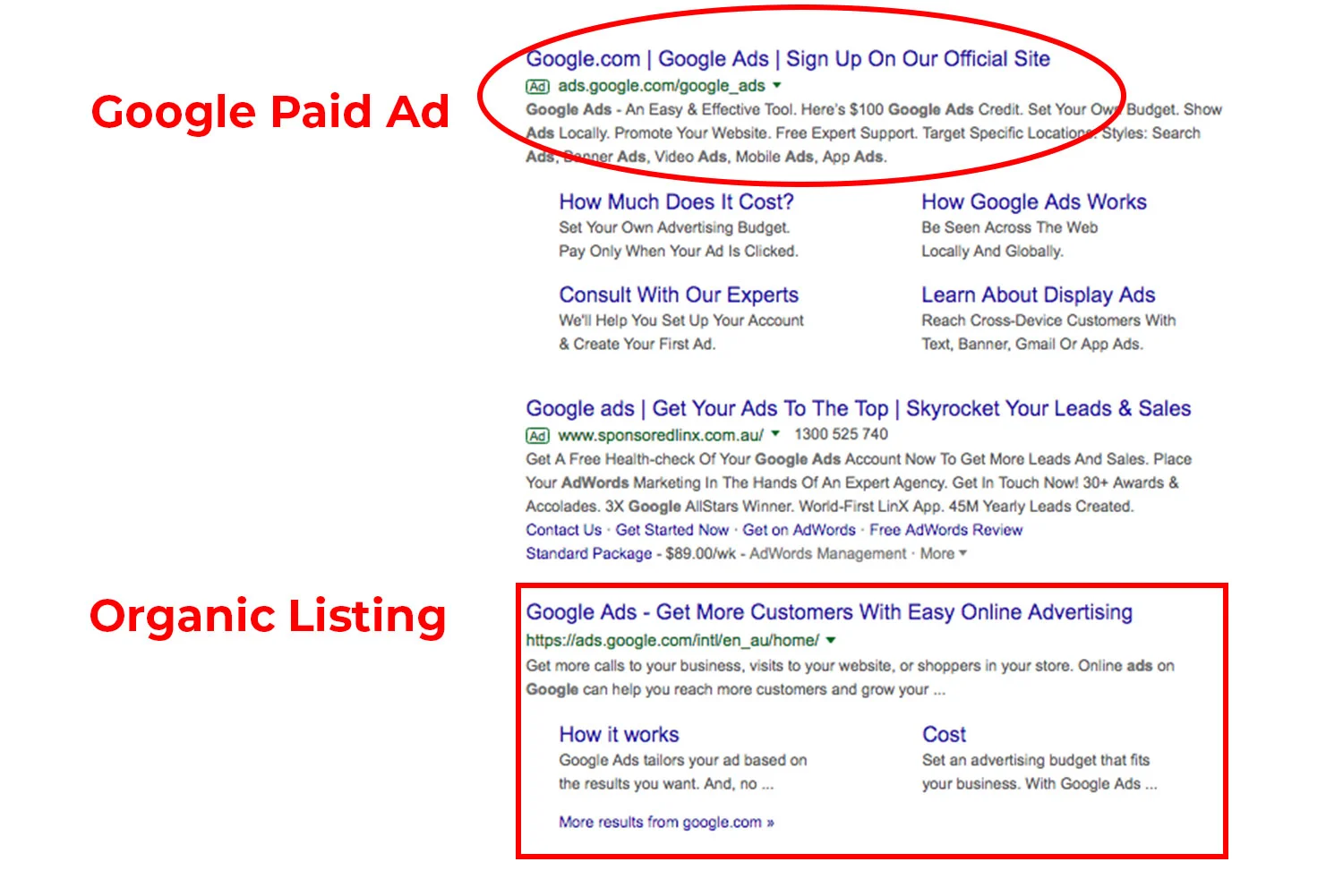 what-is-seo-ladylexproductions-blog-paid-versus-organic.jpg