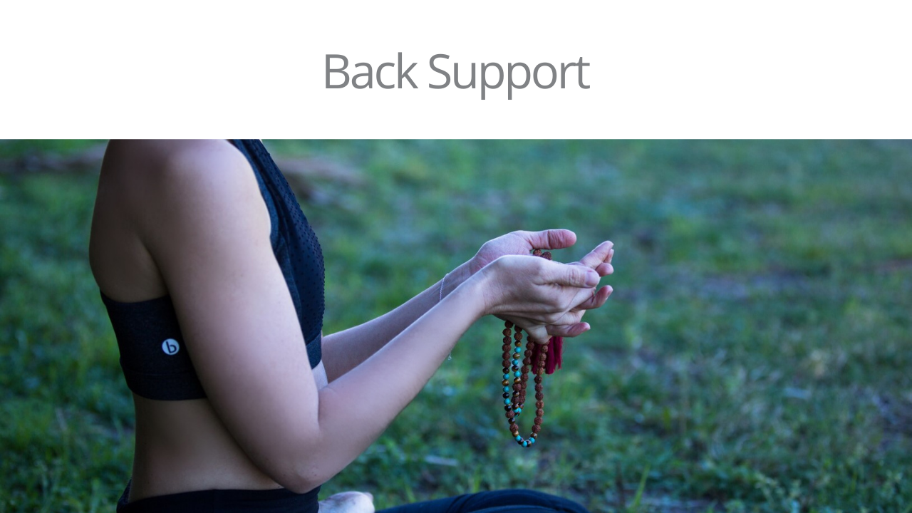 Back Support.png