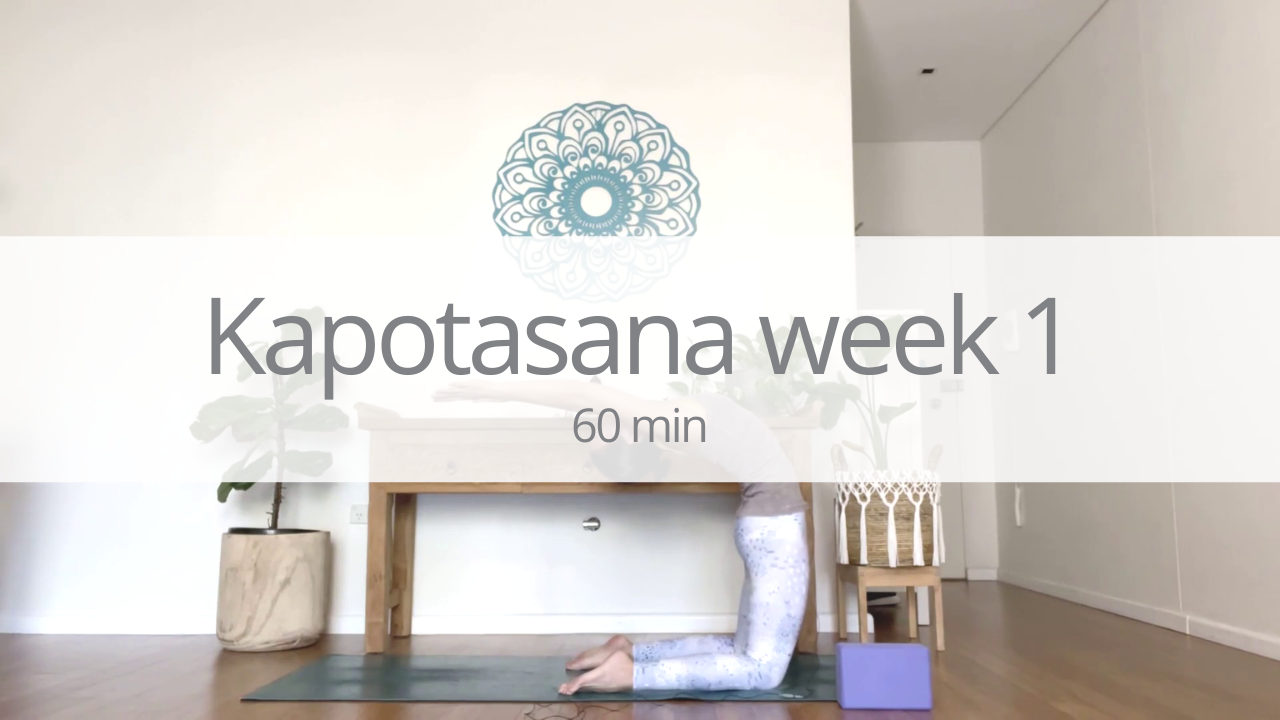 Vinyasa - kapotasana - week 1