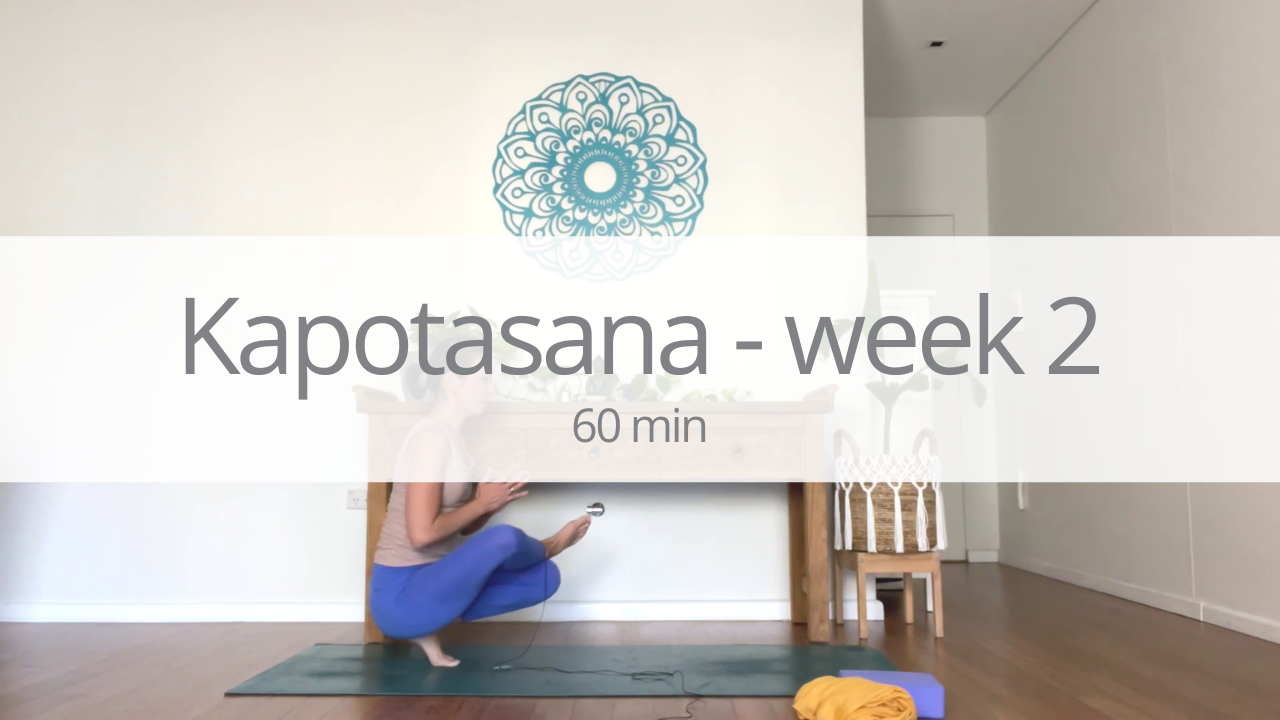 Vinyasa - kapotasana - week 2