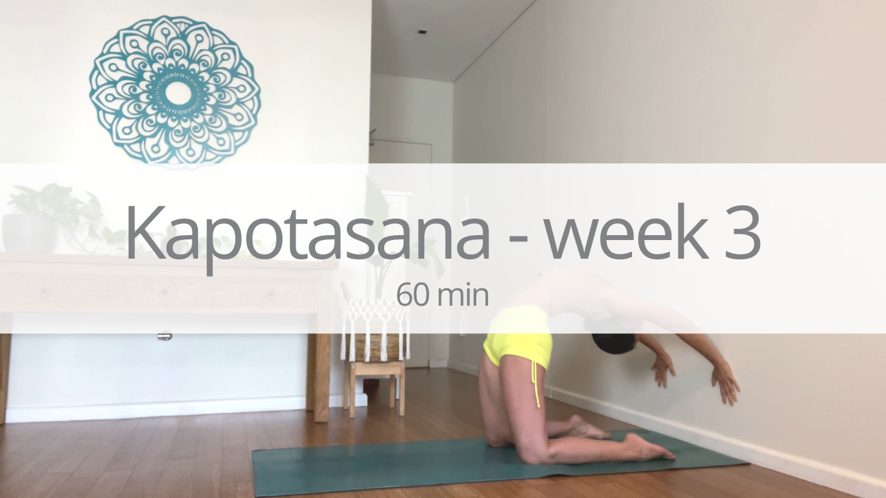 Vinyasa - kapotasana - week 3