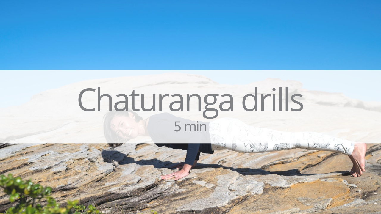 Tutorial - chaturanga drills