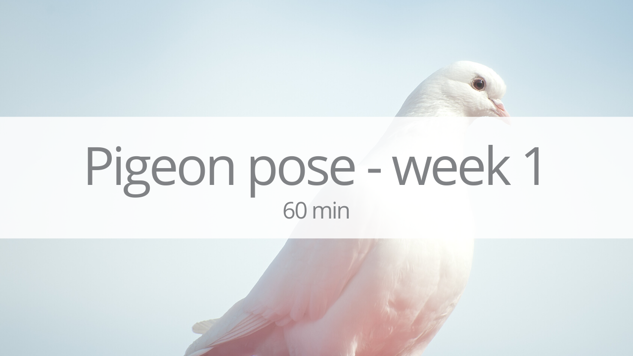 Vinyasa - pigeon pose - week 1