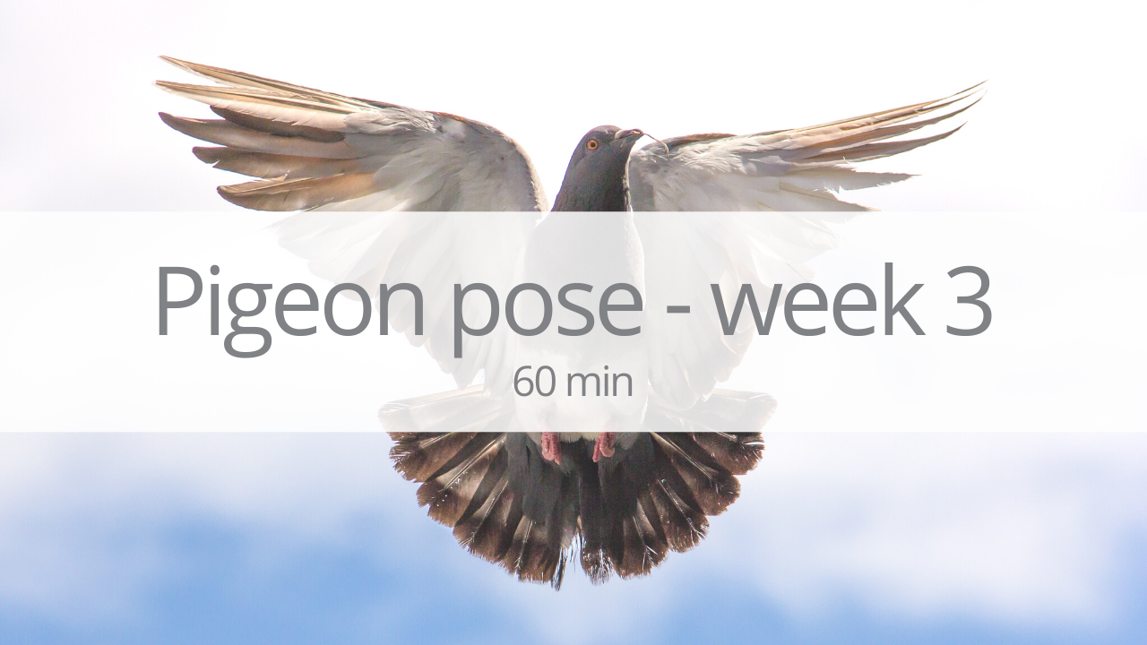 Vinyasa - pigeon pose - week 3