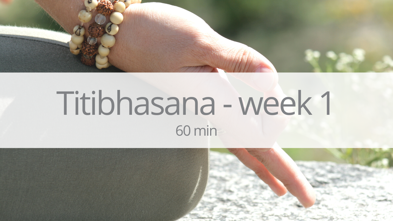 Vinyasa - titibhasana (firefly) - week 1