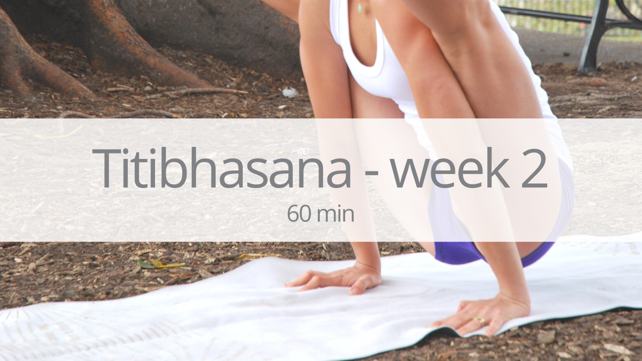 Vinyasa - titibhasana (firefly) - week 2