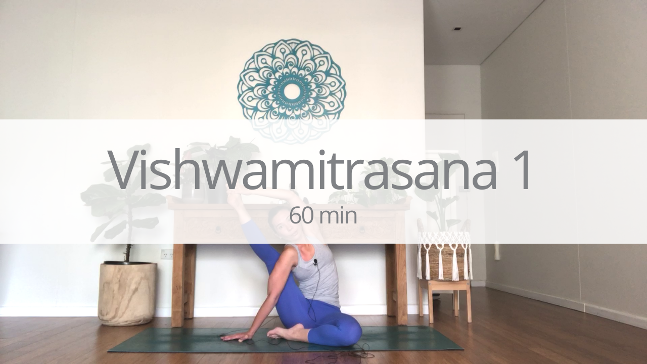 Vinyasa - vishwamitrasana - week 1