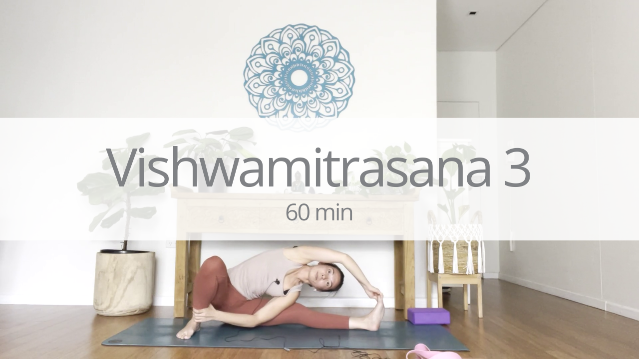 Vinyasa - vishwamitrasana - week 3