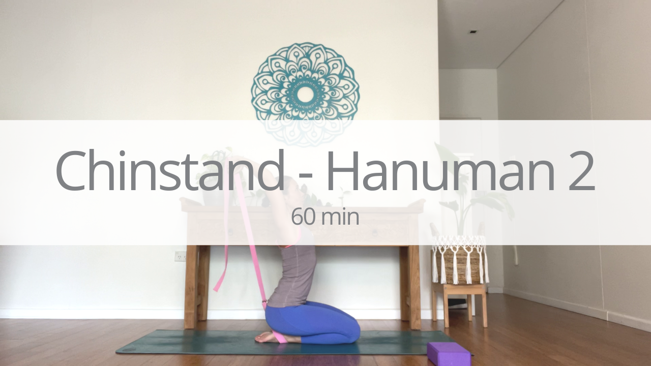 Vinyasa - chinstand and hanuman - week 2