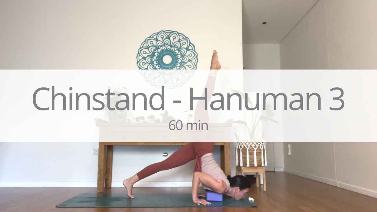 Vinyasa - chinstand and hanuman - week 3