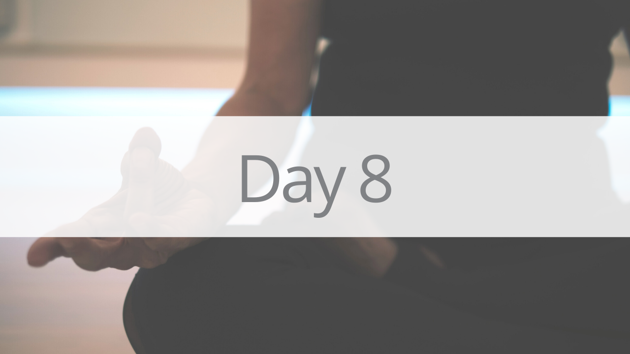 Day 8