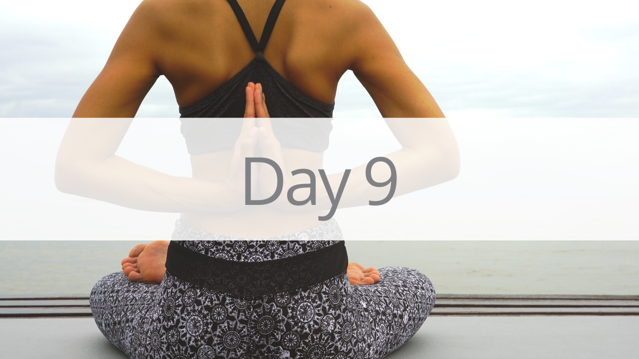 Day 9