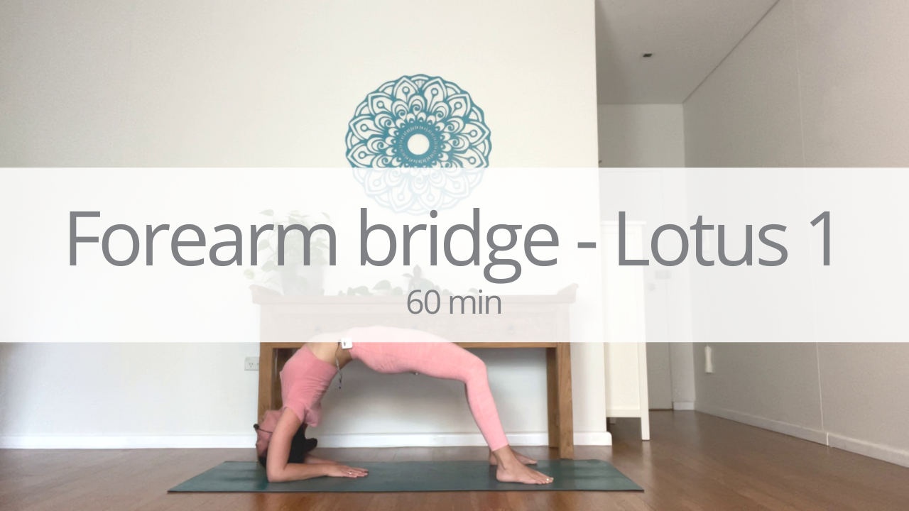 Vinyasa - forearm bridge and lotus - week 1