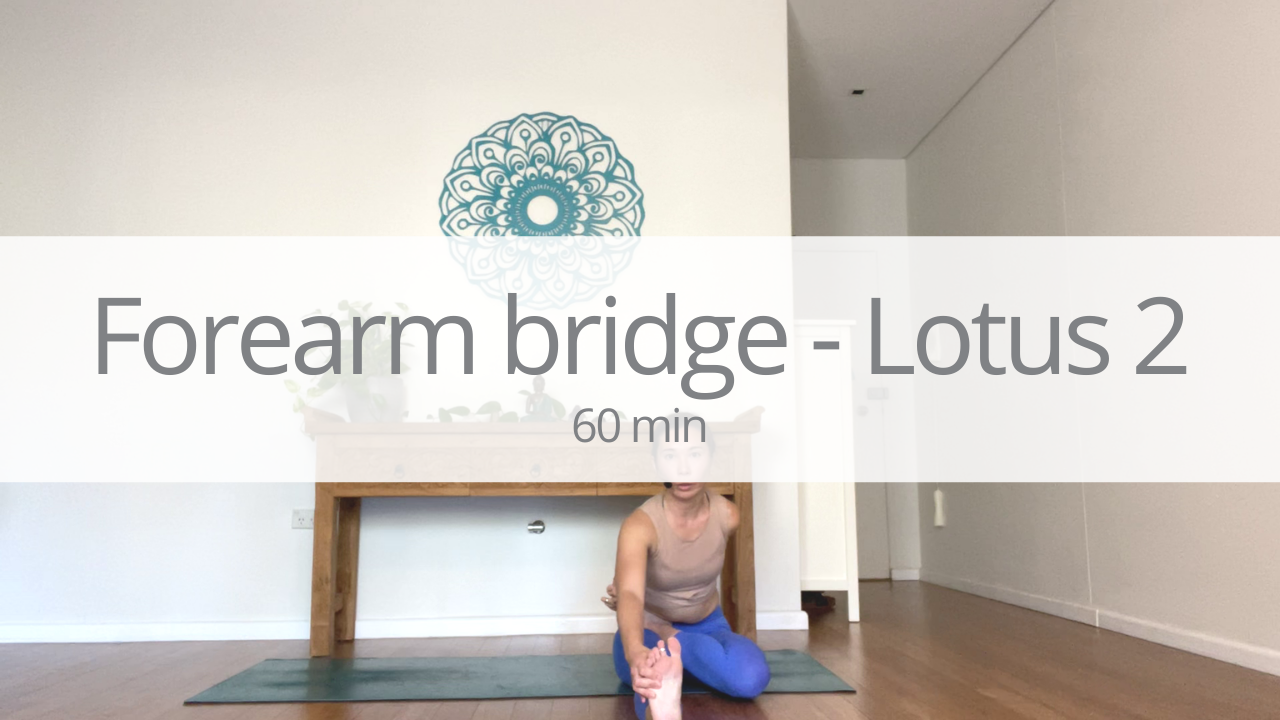 Vinyasa - forearm bridge and lotus - week 2