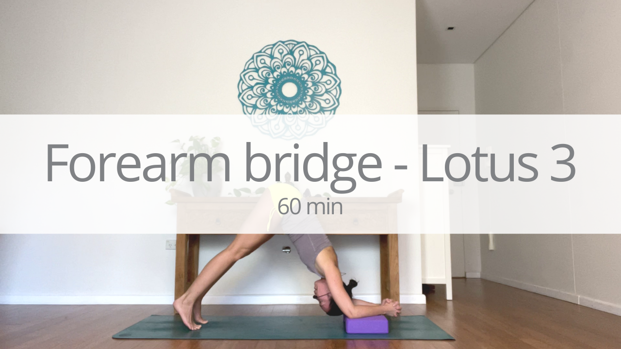 Vinyasa -forearm bridge and lotus - week 3