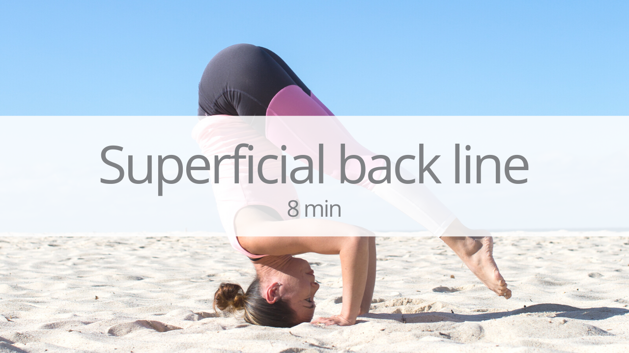 Tutorial - superficial back line