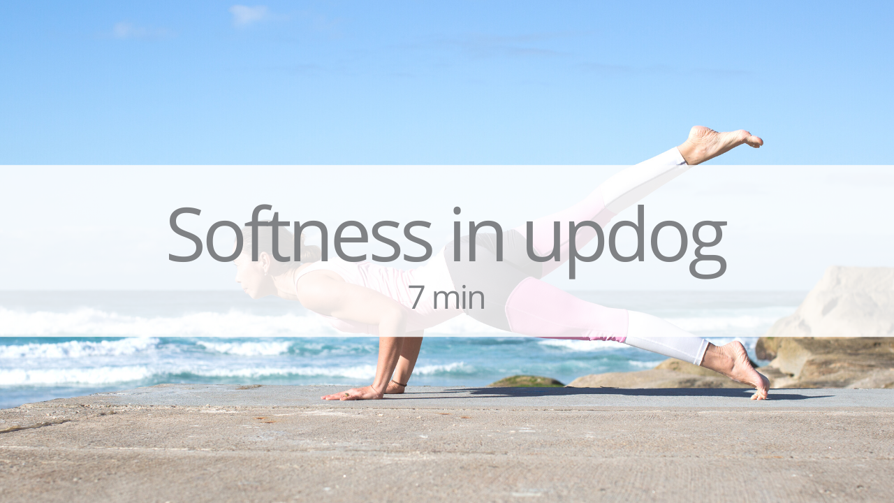 Tutorial - softness in updog
