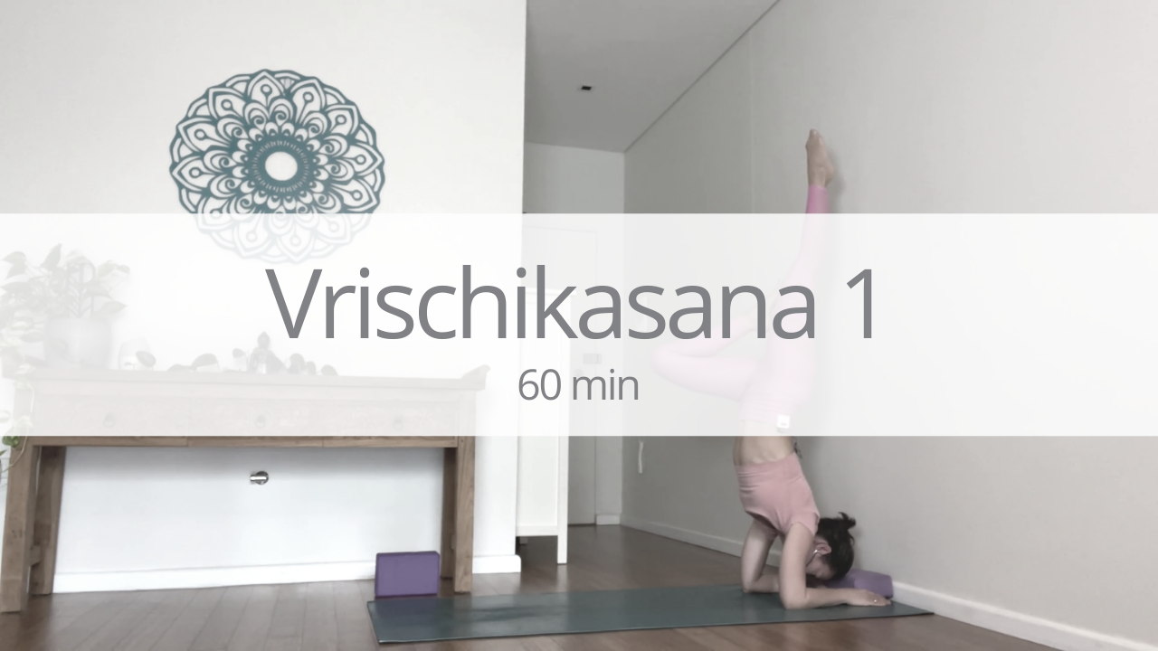 Vinyasa - vrischikasana - week 1